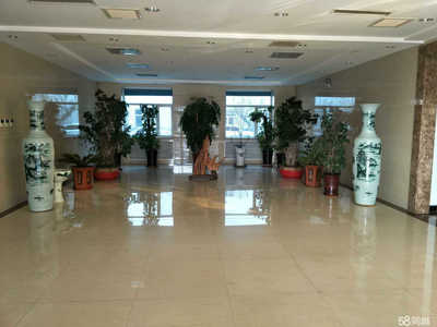 保定市红樱桃文化传播 专业文化经纪人服务的开拓者