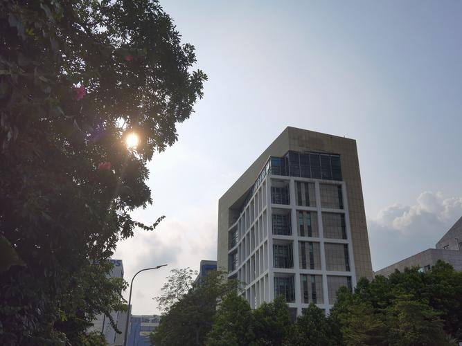 以文化之名，织就交流之网——解读组织文化艺术活动的多元价值